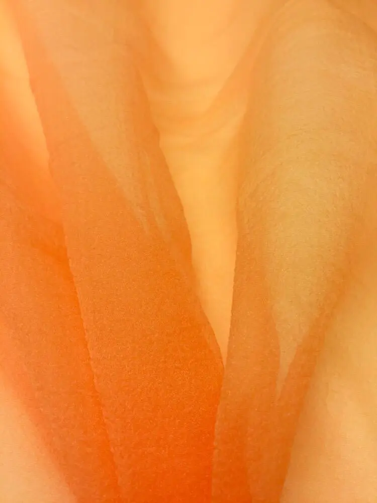 Dalya Organze Kumaş