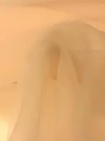 Dalya Organze Somon