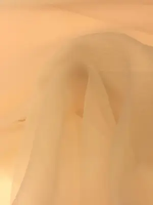 Dalya Organze Somon